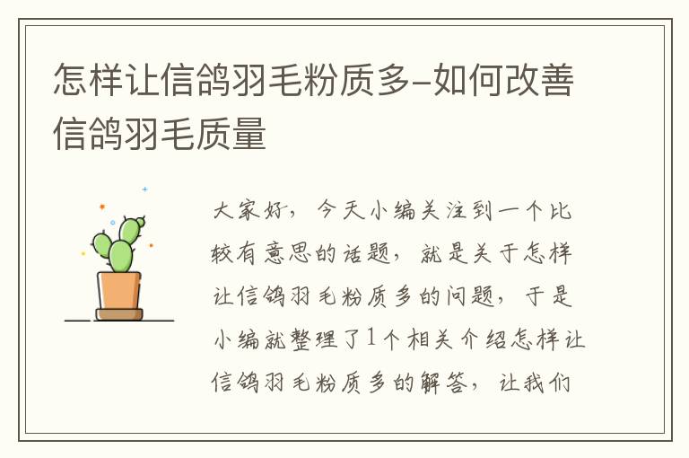 怎樣讓信鴿羽毛粉質(zhì)多-如何改善信鴿羽毛質(zhì)量