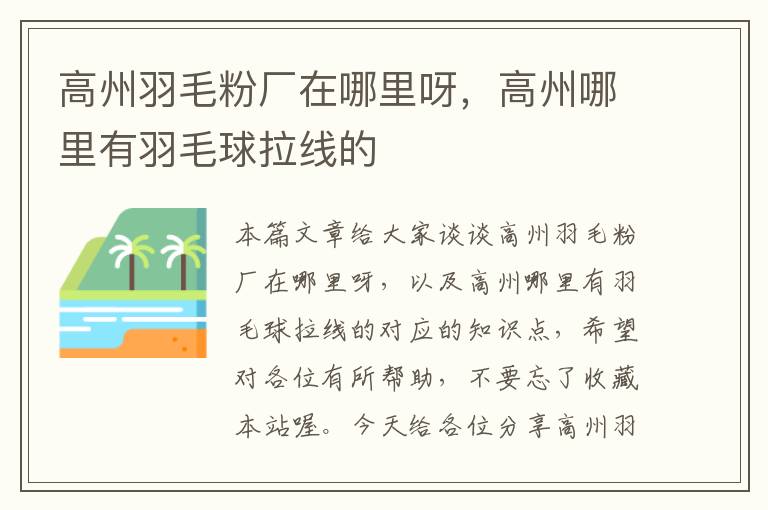 高州羽毛粉廠在哪里呀，高州哪里有羽毛球拉線的