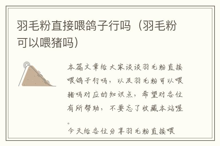 羽毛粉直接喂鴿子行嗎（羽毛粉可以喂豬嗎）