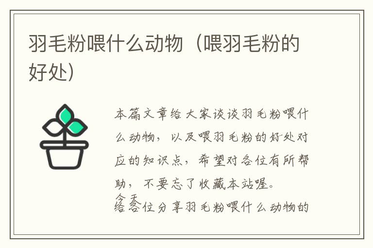 羽毛粉喂什么動(dòng)物（喂羽毛粉的好處）