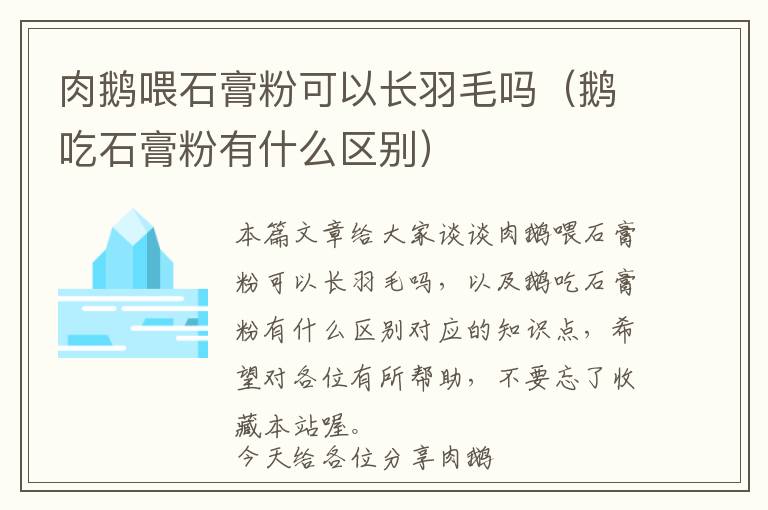 肉鵝喂石膏粉可以長羽毛嗎（鵝吃石膏粉有什么區(qū)別）