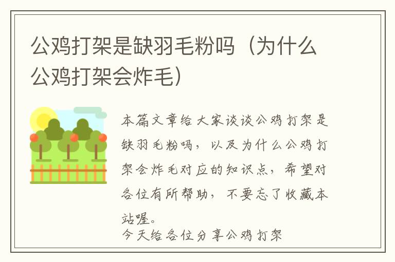 公雞打架是缺羽毛粉嗎（為什么公雞打架會炸毛）