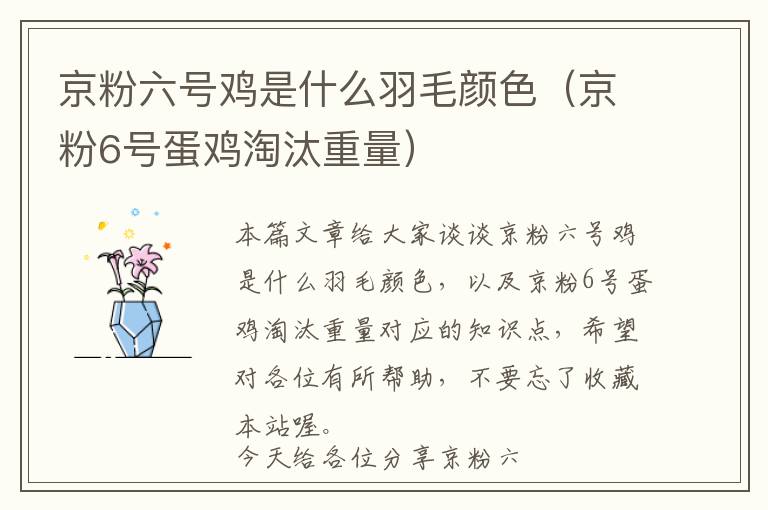 京粉六號雞是什么羽毛顏色（京粉6號蛋雞淘汰重量）