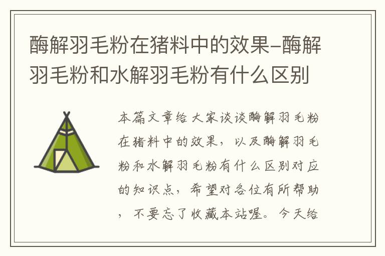 酶解羽毛粉在豬料中的效果-酶解羽毛粉和水解羽毛粉有什么區(qū)別