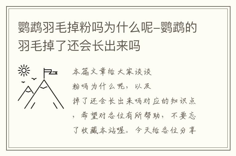 鸚鵡羽毛掉粉嗎為什么呢-鸚鵡的羽毛掉了還會(huì)長(zhǎng)出來(lái)嗎