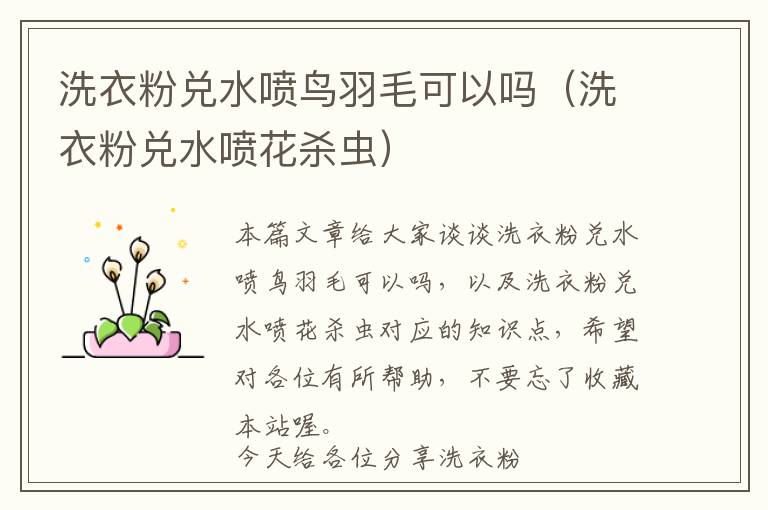 洗衣粉兌水噴鳥羽毛可以嗎（洗衣粉兌水噴花殺蟲）