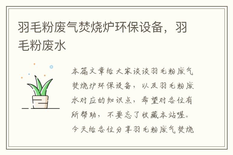 羽毛粉廢氣焚燒爐環(huán)保設(shè)備，羽毛粉廢水