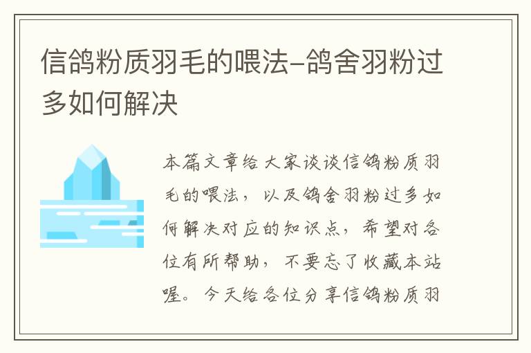 信鴿粉質羽毛的喂法-鴿舍羽粉過多如何解決