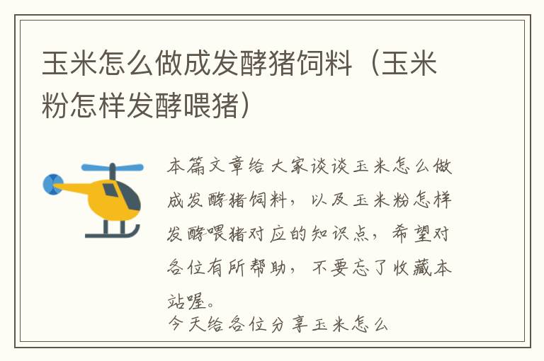 玉米怎么做成發(fā)酵豬飼料（玉米粉怎樣發(fā)酵喂豬）