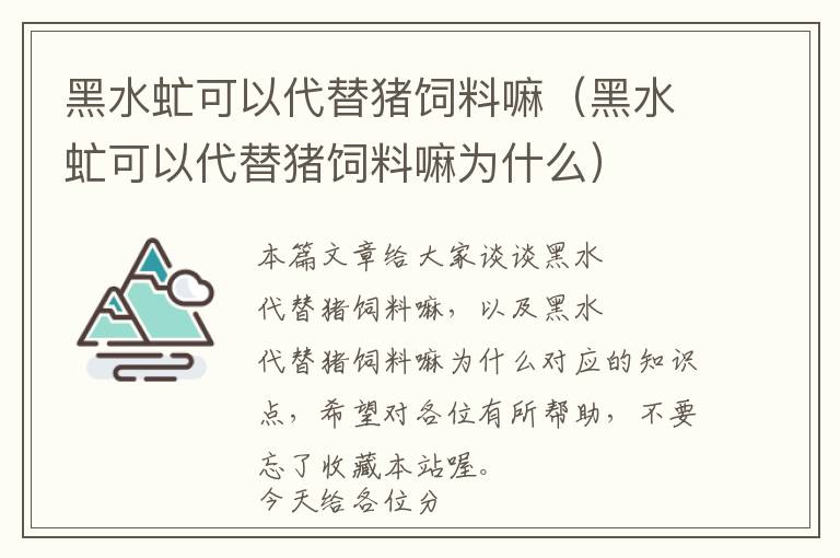 黑水虻可以代替豬飼料嘛（黑水虻可以代替豬飼料嘛為什么）