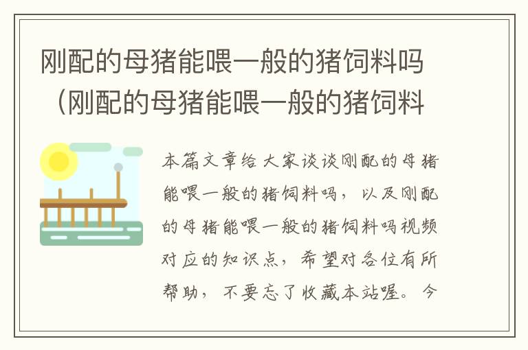 剛配的母豬能喂一般的豬飼料嗎（剛配的母豬能喂一般的豬飼料嗎視頻）