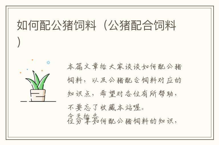 如何配公豬飼料（公豬配合飼料）