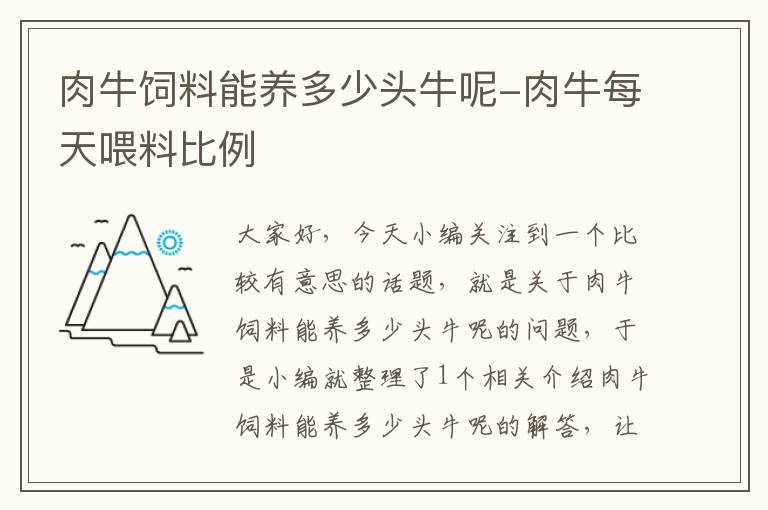 肉牛飼料能養(yǎng)多少頭牛呢-肉牛每天喂料比例