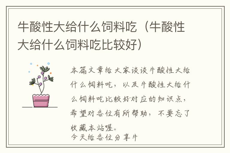 牛酸性大給什么飼料吃（牛酸性大給什么飼料吃比較好）