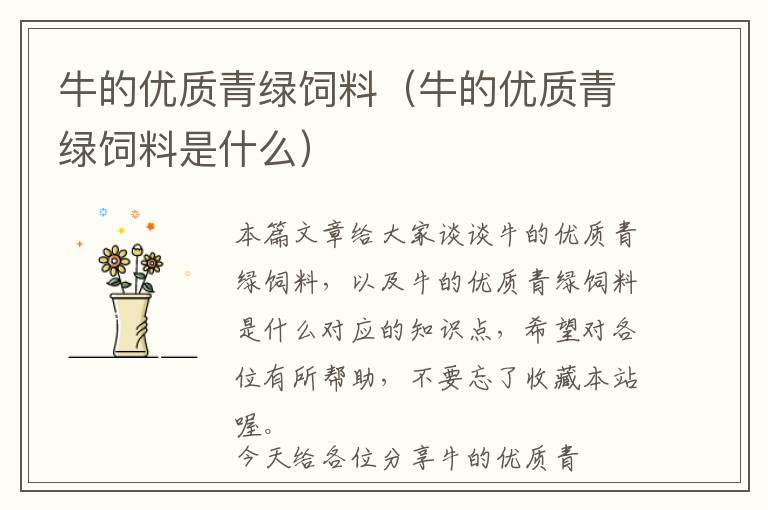 牛的優(yōu)質(zhì)青綠飼料（牛的優(yōu)質(zhì)青綠飼料是什么）