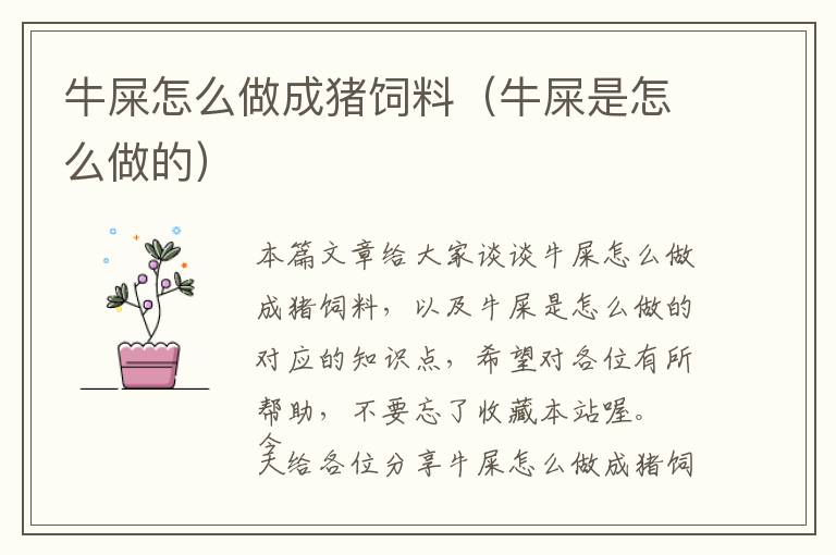 牛屎怎么做成豬飼料（牛屎是怎么做的）