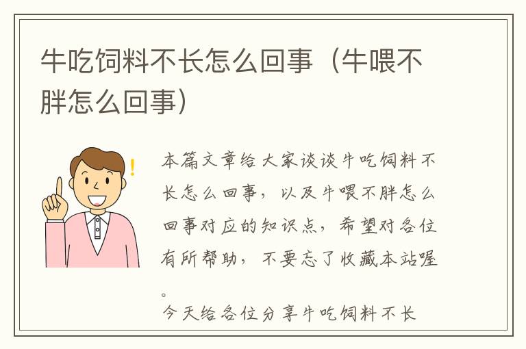 牛吃飼料不長怎么回事（牛喂不胖怎么回事）