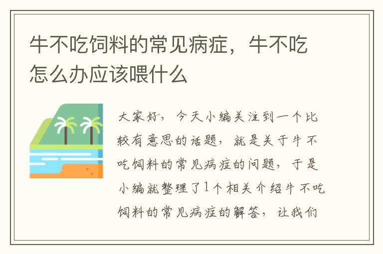 牛不吃飼料的常見病癥，牛不吃怎么辦應該喂什么