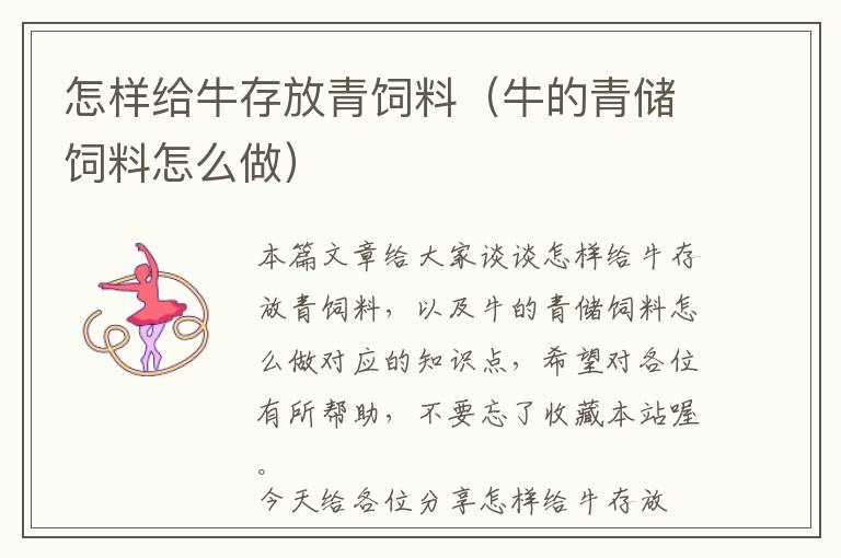 怎樣給牛存放青飼料（牛的青儲(chǔ)飼料怎么做）