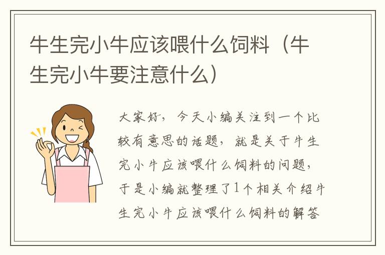 牛生完小牛應(yīng)該喂什么飼料（牛生完小牛要注意什么）