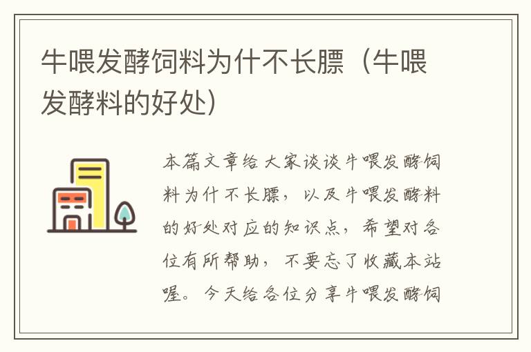 牛喂發(fā)酵飼料為什不長(zhǎng)膘（牛喂發(fā)酵料的好處）