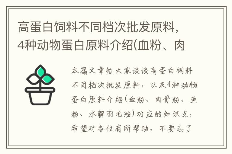 高蛋白飼料不同檔次批發(fā)原料，4種動物蛋白原料介紹(血粉、肉骨粉、魚粉、水解羽毛粉)