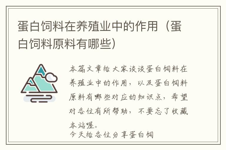 蛋白飼料在養(yǎng)殖業(yè)中的作用（蛋白飼料原料有哪些）