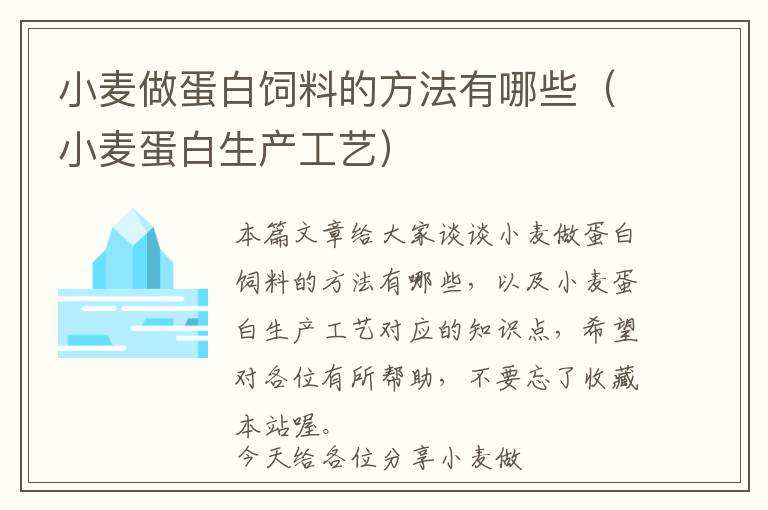 小麥做蛋白飼料的方法有哪些（小麥蛋白生產(chǎn)工藝）