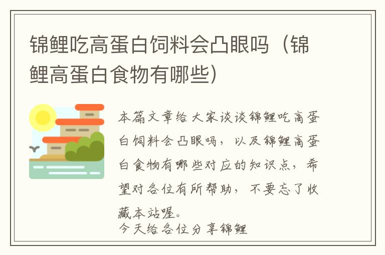 錦鯉吃高蛋白飼料會(huì)凸眼嗎（錦鯉高蛋白食物有哪些）